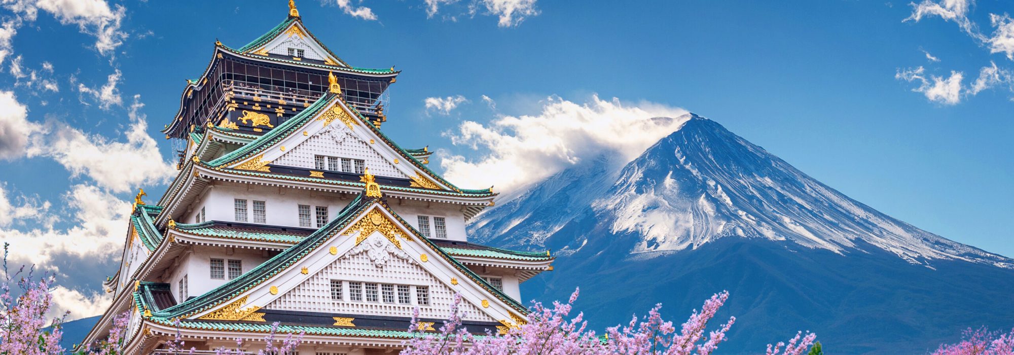 Fuji mountains and castle with cherry blossom in spring.